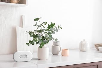 Airthings View Plus & Wave Plus - Multi Room Air Quality Monitor with Radon, PM 2.5, CO2, VOC, Humidity & Temperature Detector, Mobile APP, Wi-Fi, Alerts & Notifications