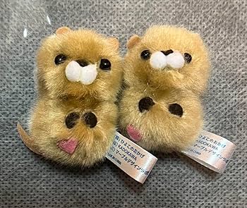 Amazon.co.jp: ひよこのおかげ ぴよりーな カワウソ 2点 ラッコ