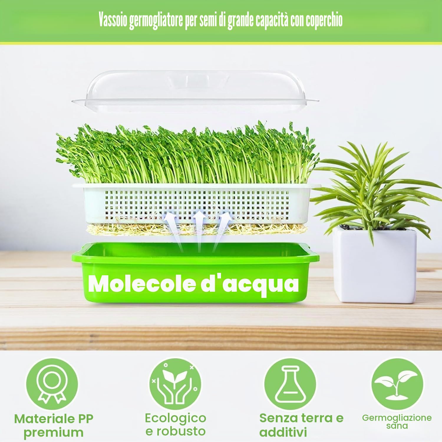 KAHEIGN 4 Pezzi Vassoi per Germinazione dei Semi con Coperchio, 32cm x 26cm Vassoio di Germinazione di Grande Capacità Propagatore Idroponico Sano Senza BPA con 24 Carte per Piantare per Coltivazione