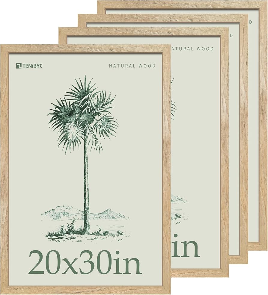 Amazon.com - TENIBYC 20x30 Poster Frame Set - 4 Pack, Textured
