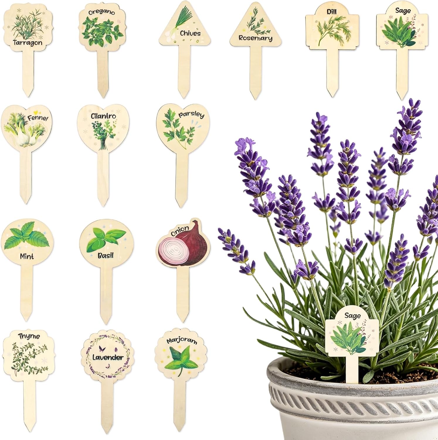 15 Pcs Wooden Herb Garden Markers - Aesthetic Botanical Plant Labels for Indoor Kitchen Gardens - T-Type Herb Stakes for Basil, Mint, Lavender, Rosemary - Culinary Herb Signs for Potted Plants