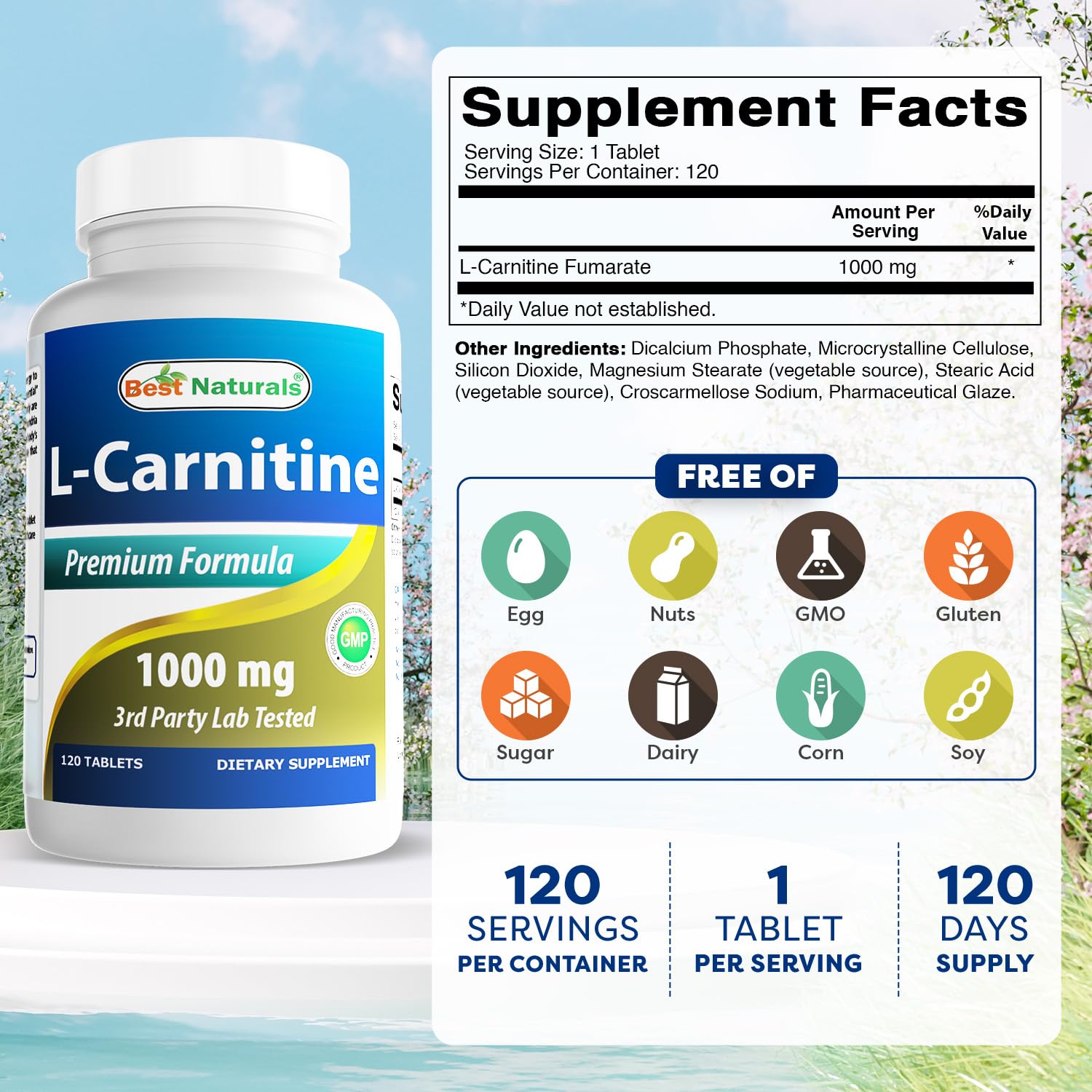 Amazon.com: Best Naturals Fumarato de L-carnitina 1000 mg por tableta - 120  unidades