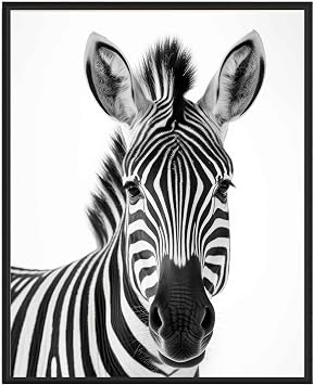 HomeArtPrint Zebra Unframed Art Prints Posters, Black and White Animal Photography Wall Art, Wildlife Nature Photo, Exotic Animal Wall for Bathroom Bedroom Decor 71 Zebra, 10" L x 8" W, Unframed