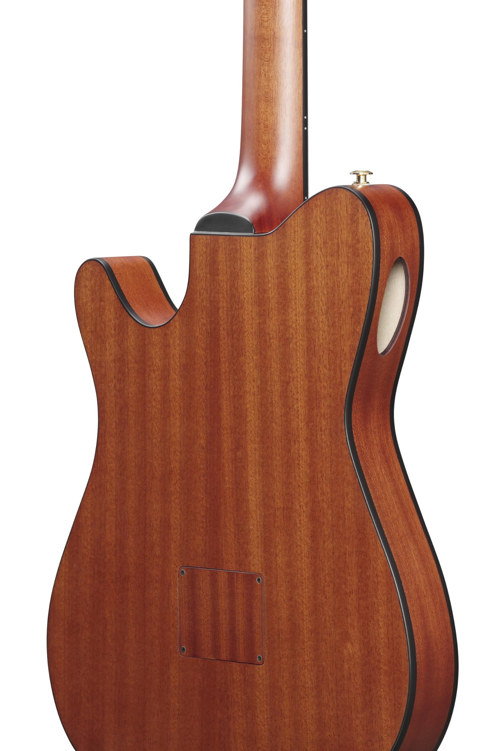 Ibanez FRH10N-RGF - Chitarra classica 4/4
