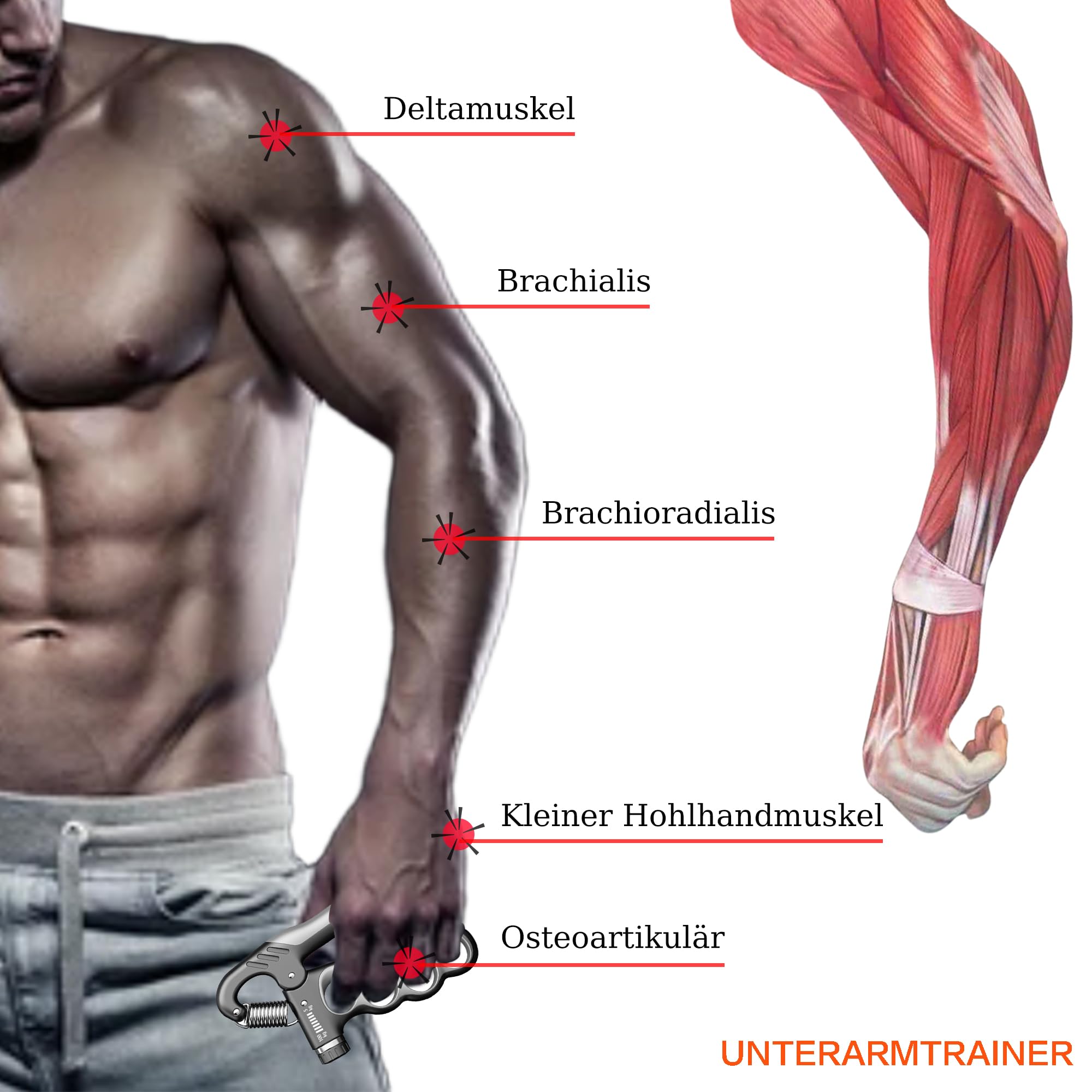 Griffkraft Trainer, Handtrainer, Unterarmtrainer mit Automatischer Zähler | Einstellbarer Widerstand von 5-100 kg, Geeignet für Griffkrafttraining, Handphysiotherapie und Rehabilitation