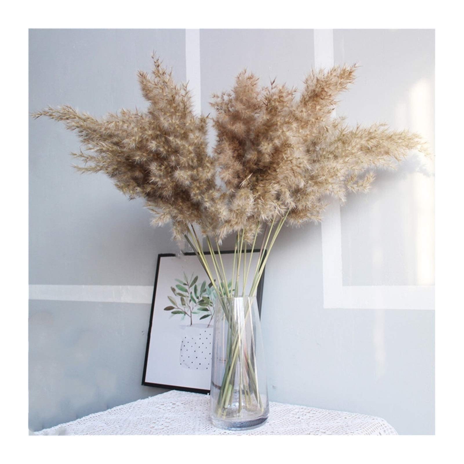 Bouquet De Fleurs Sechees 20 pcs Phragmites séchés naturels communis roseaux Plantes de Mariage Fleur de Mariage décor de la Maison décor Bricolage Fleurs séchées Pampa Herbe Pampa Herbe