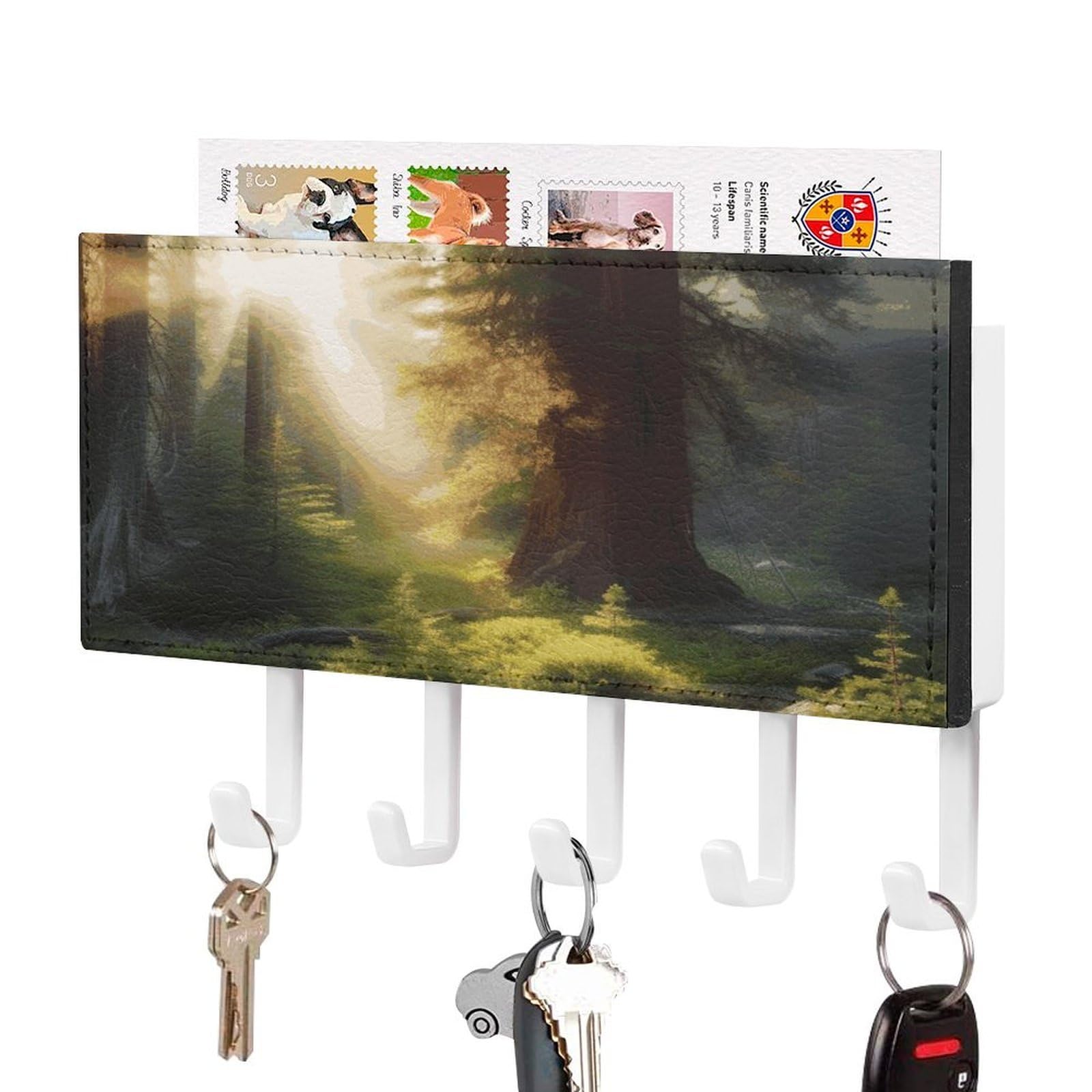 JTREHY Morning Sunlight in Wilderness Key Holder Wall Mount Decorative Key and Mail Holder PU Leather Adhesive Key Organizer Hanging Key Hooks Wall Shelf with 5 Hooks for Entryway Hallway Office
