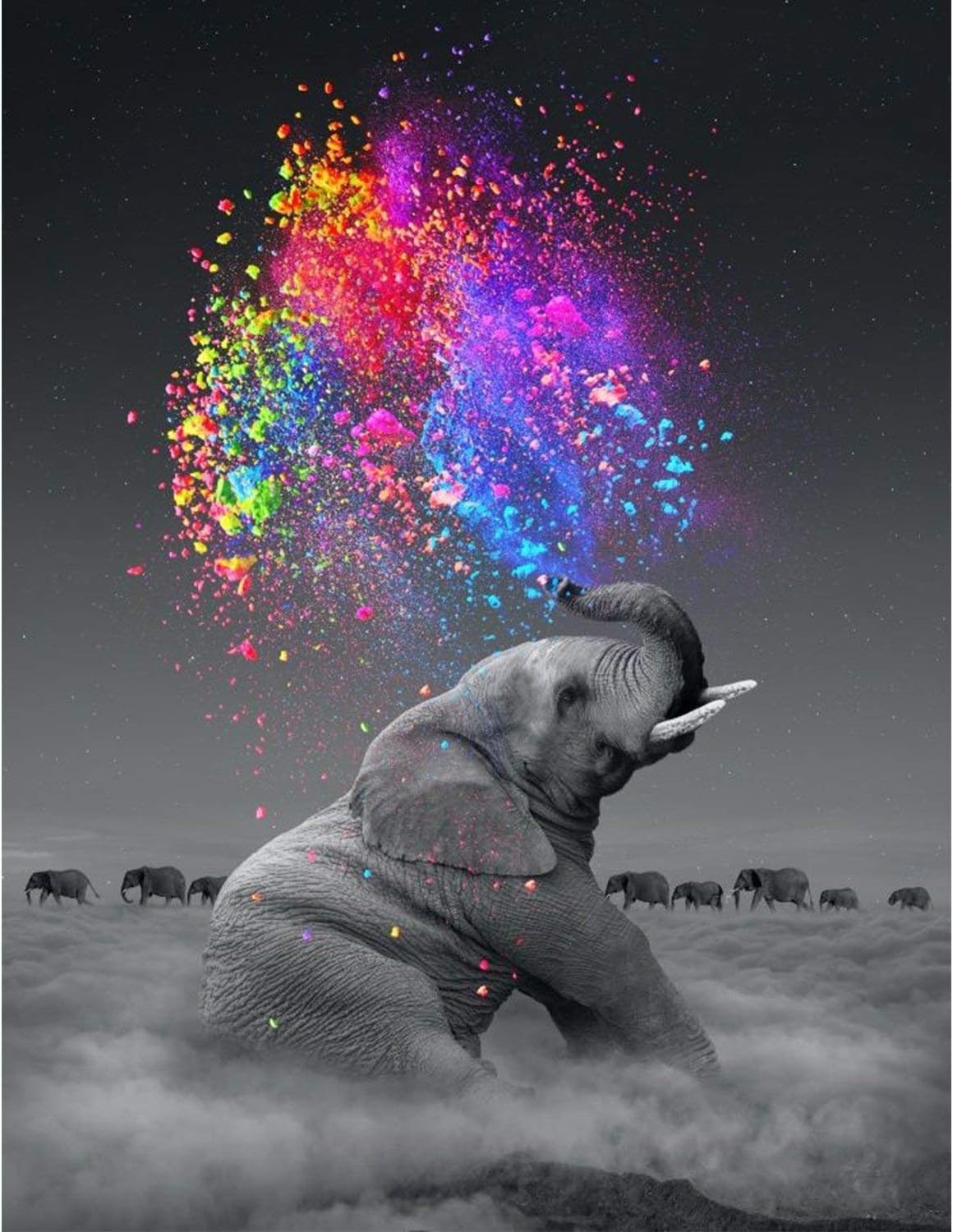 5D Full Drill Diamond Painting Kit (Elephant)