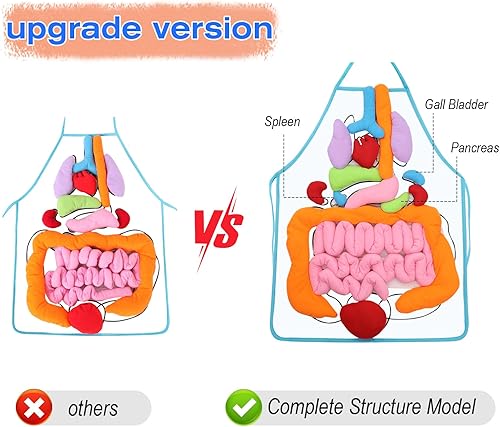 Miniatura 4 de KAKIBLIN Delantal de órgano 3D, delantal de anatomía, cuerpo humano, conciencia, juguete educativo para el hogar, preescolar, ayuda docente,