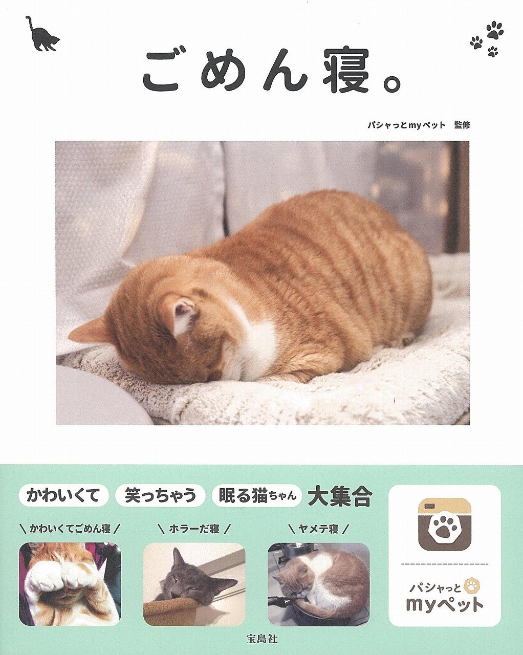 ごめん寝 パシャっとmyペット 本 通販 Amazon ごめん寝 パシャっとmyペット 本 通販 Amazon