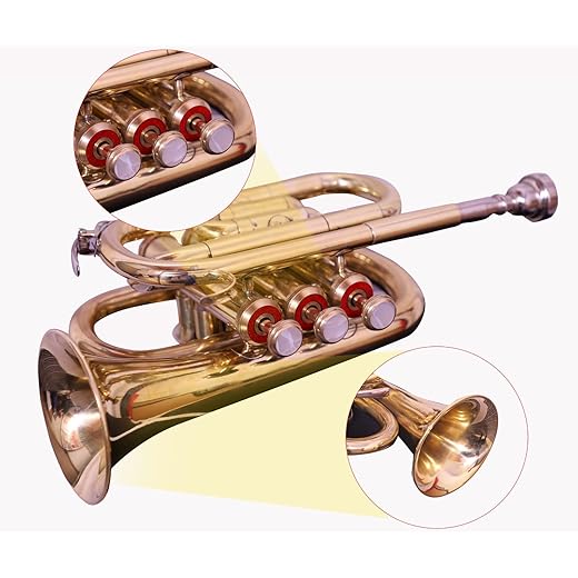 Queen Brass B-Flat Pocket Trumpet for Students and Beginners Gold Finish with 7C Mouthpiece Carrying Case Compact Brass Instrument for Practice and Travel