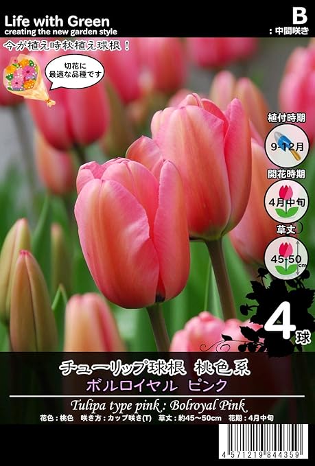 Amazon チューリップ球根 桃色系 カップ咲き T ボルロイヤルピンク Life With Green 球根
