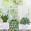 Product Photo 5