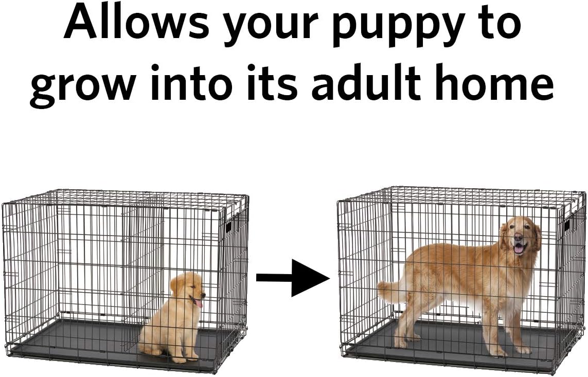 Black Steel Dog Crate Divider Panel, 37.41" x 41.82"