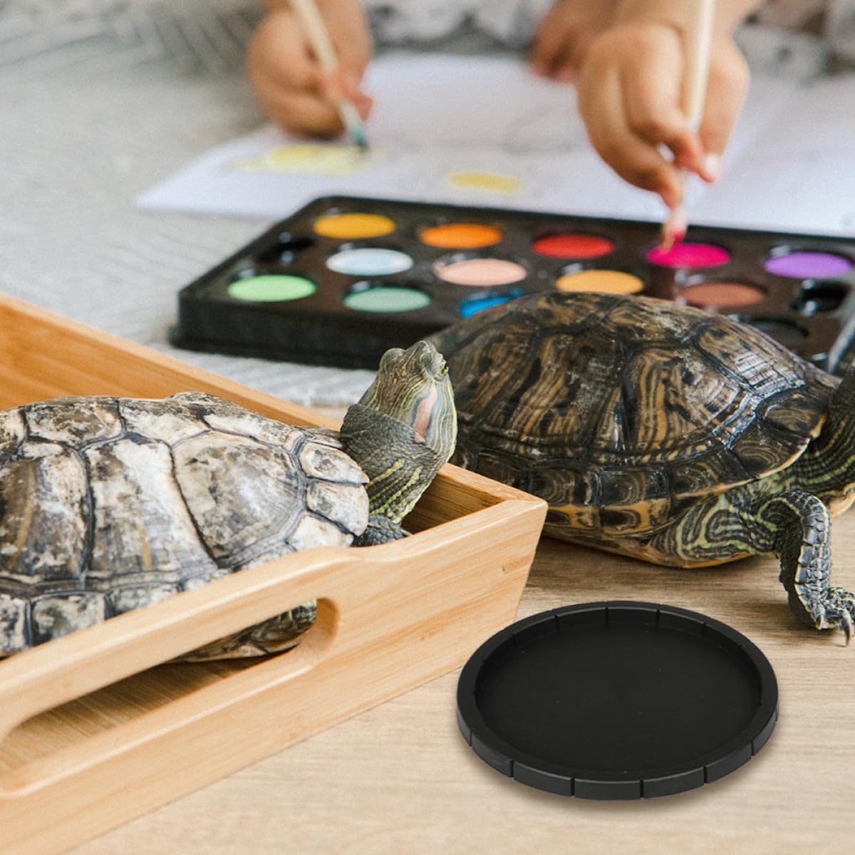VALICLUD 2pcs Reptile Feeding Bowls Set, Plastic Food and Water Bowls for Lizards, Tortoises, and Geckos, and Hexagon Shapes for Terrarium Use