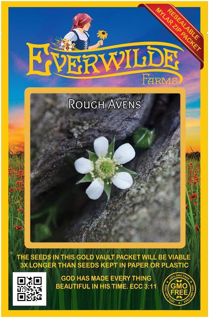 Everwilde Farms - 1/4 Lb Rough Avens Native Wildflower Seeds - Gold Vault