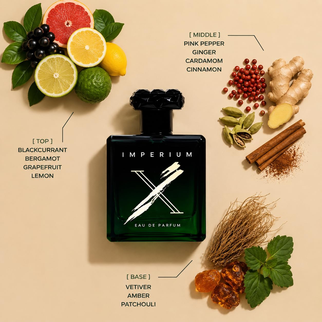 Amazon.com : Fragrance World Imperium X EDP Unisex 3.4 Fl Oz