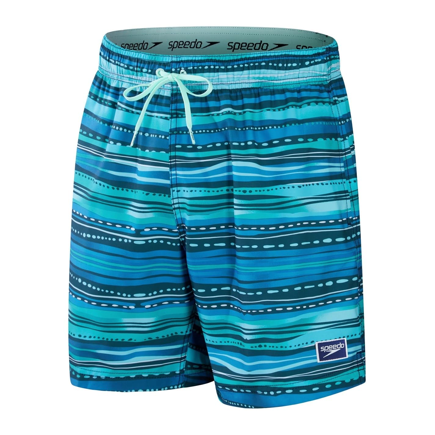SpeedoMens Pt R Ed Vl 17 Swim Shorts