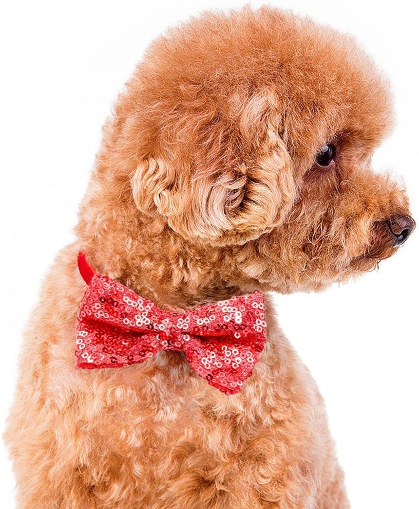 Sparkle & Style: Review of CHUYIX Adjustable Sequin Bow Tie Collars for Your Pets