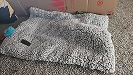 Review Image by Lily burman Lily burman