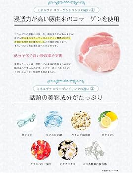 Amazon | 京都薬品ヘルスケア ミネルヴァ コラーゲン6000 （10本入×1箱