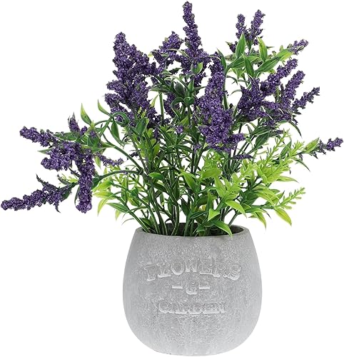 Abaodam 1 planta artificial en maceta, mini plantas artificiales de plástico, plantas de cactus, plantas en maceta de seda, planta de lavanda