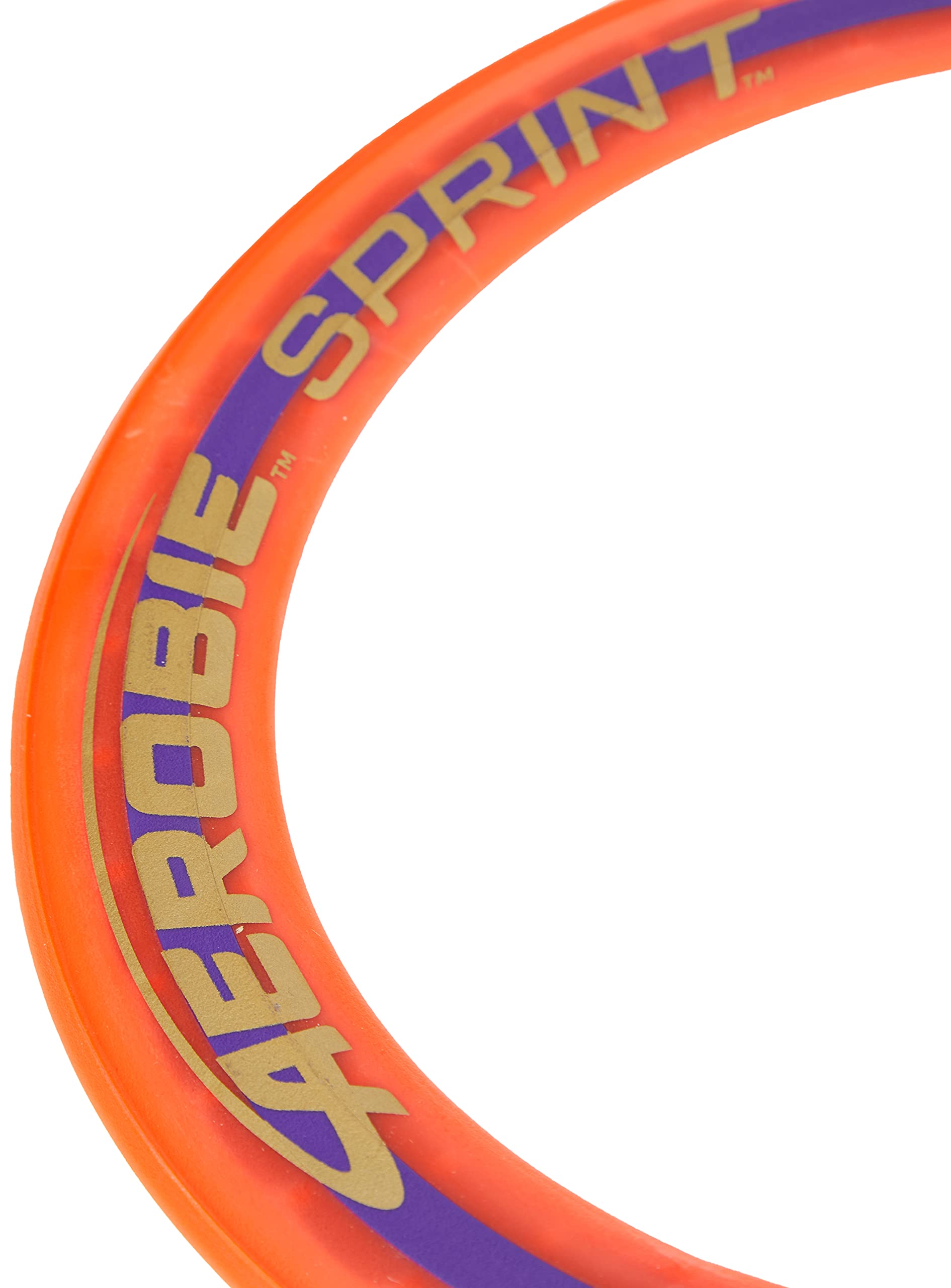 Spin Master Aerobie