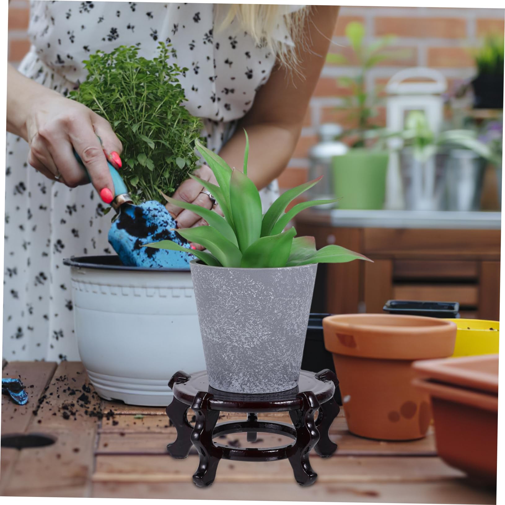 TOYANDONA Soporte para Macetas de Madera Marrón Diseño Versátil y Ahorro de Espacio Base Redonda Paquete de 2 Unidades para Exhibición Creativa de Jarrones y Flores en Interiores