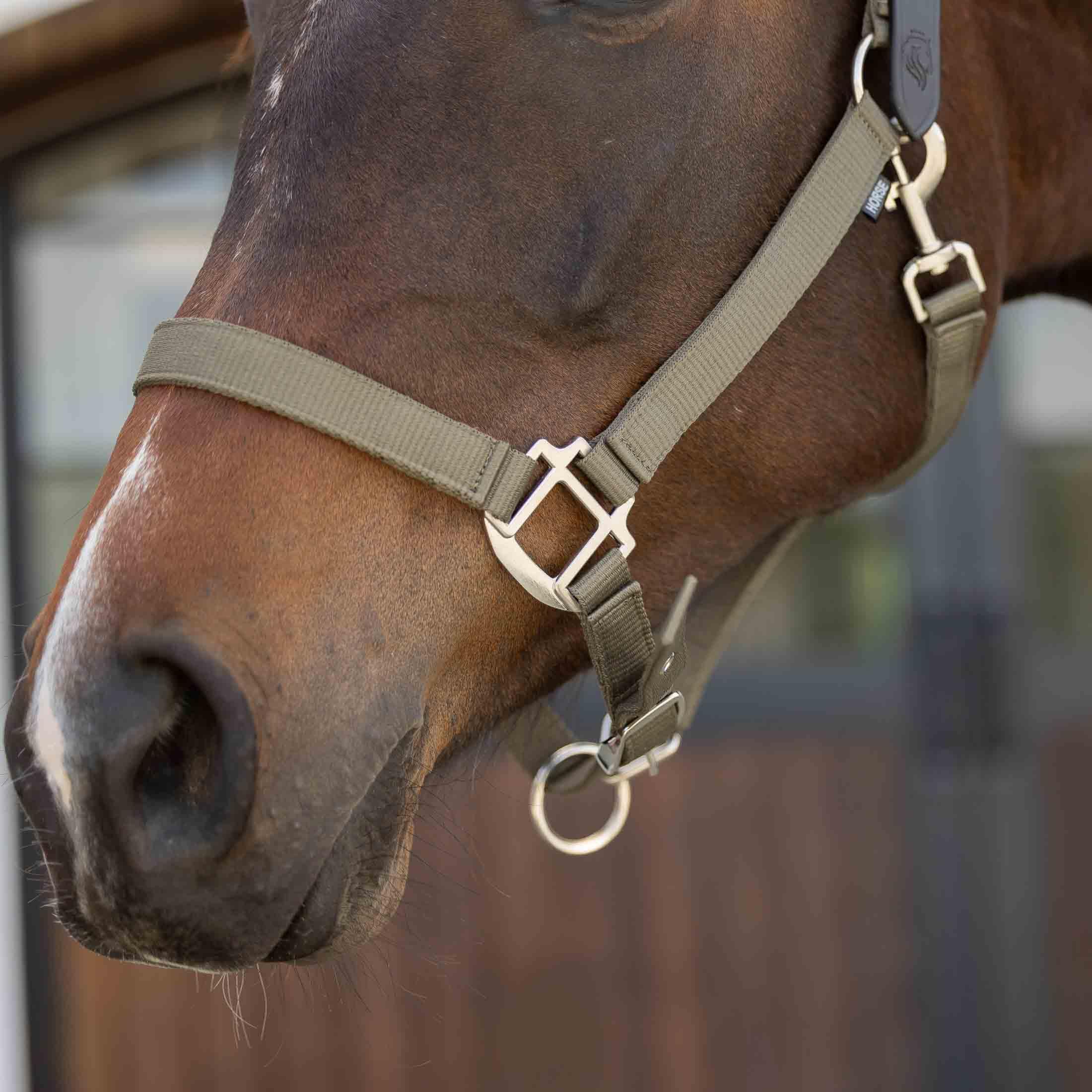 Equinavia Loki - Cabestro ajustable para caballo, color verde oliva claro, mazorca