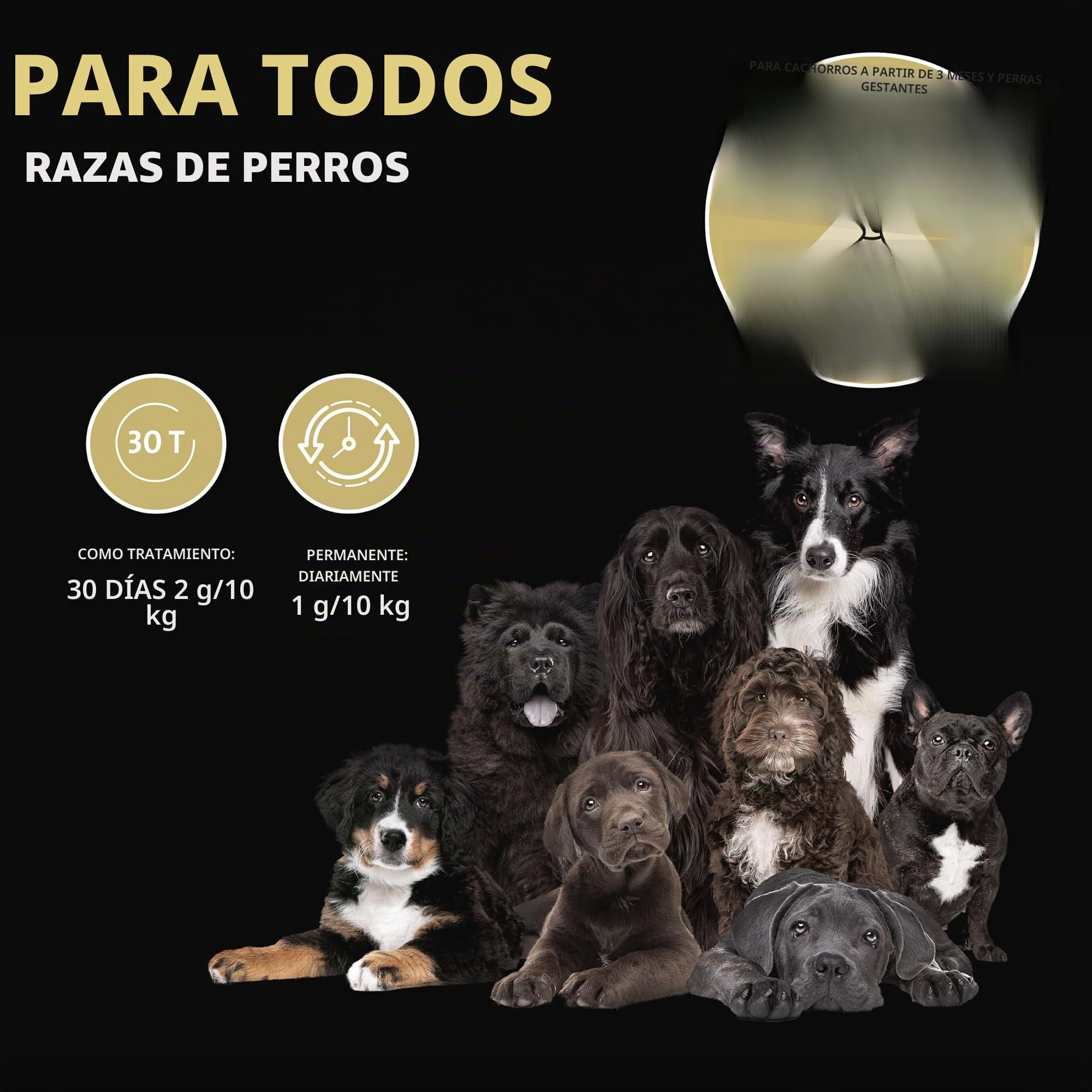 Peticare Complemento en Polvo para Perros Activos | Mezcla nutritiva para apoyar energía y Bienestar | con colágeno y Omega-3 | Calidad Suiza | petDog Health 2602