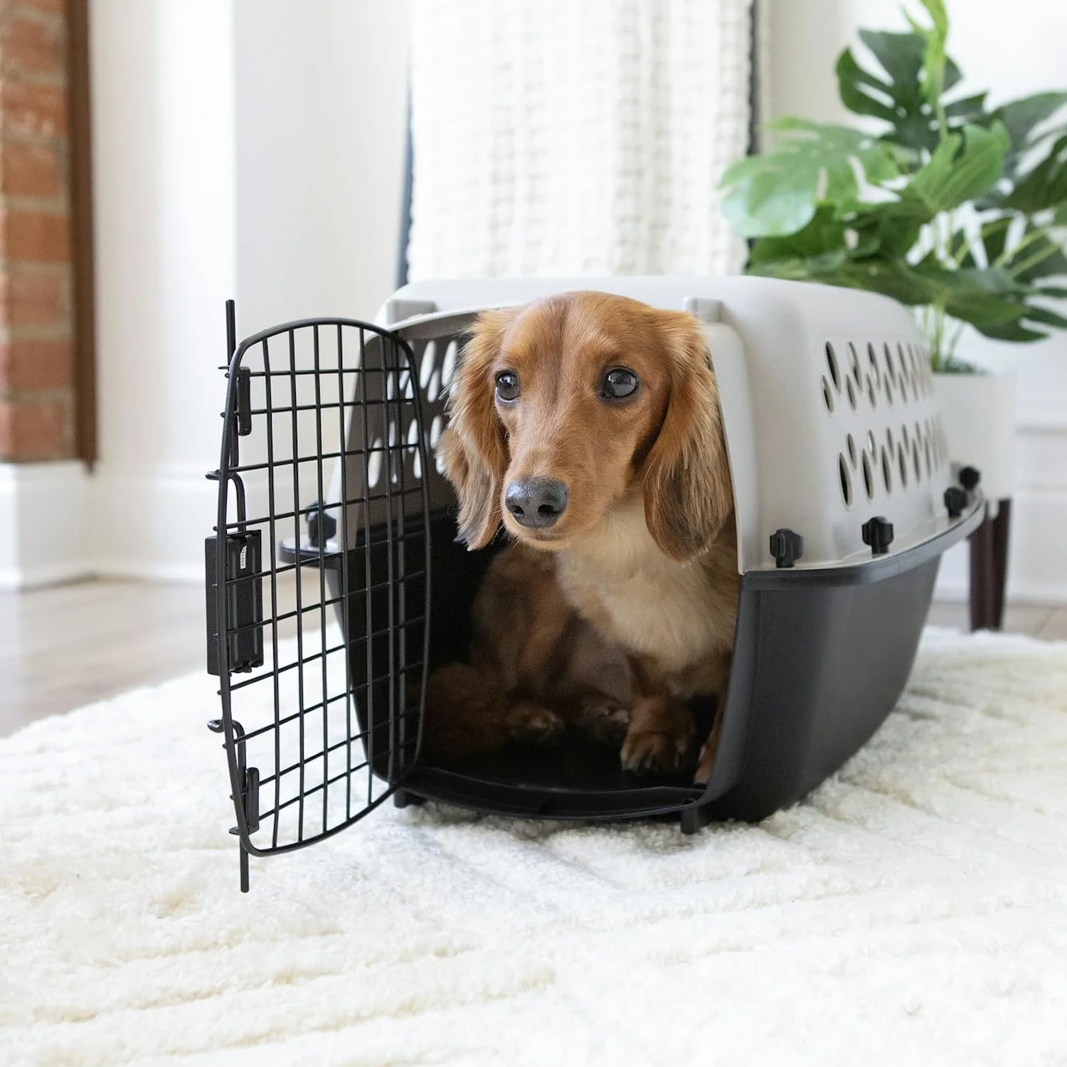 Portable Airline-Approved Dog Crate for Small Dogs & Cats - Durable Plastic & Steel Travel Kennel, 23" L x 15.2" W x 11.8" H, Ventilated & Secure