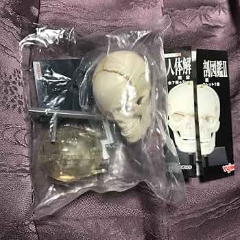 ユージン 原色人体解剖図鑑Ⅱ 完全版 全8種 コンプリートセット 原色人体解剖図鑑 完全版｜商品情報｜タカラトミーアーツ