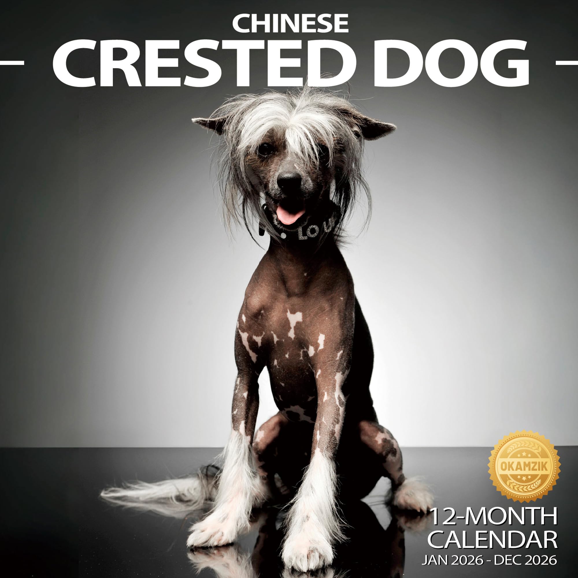 Wall Calendar 2026 Planner Calendar - Chinese Crested Dog Hangable Monthly Wall Calendar with Large Blocks for Organizing & Planning, Academic Schedule, Home, Office & family, Thick & Sturdy Paper (12