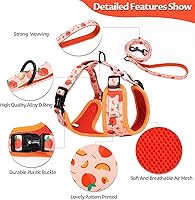 Vista 4 de Dog Harness and Leash Set, Adjustable Dog Harness, Dog Leash, No Pull No Choke Puppy Harnesses for Walking Training for Small Medium Pet Palta