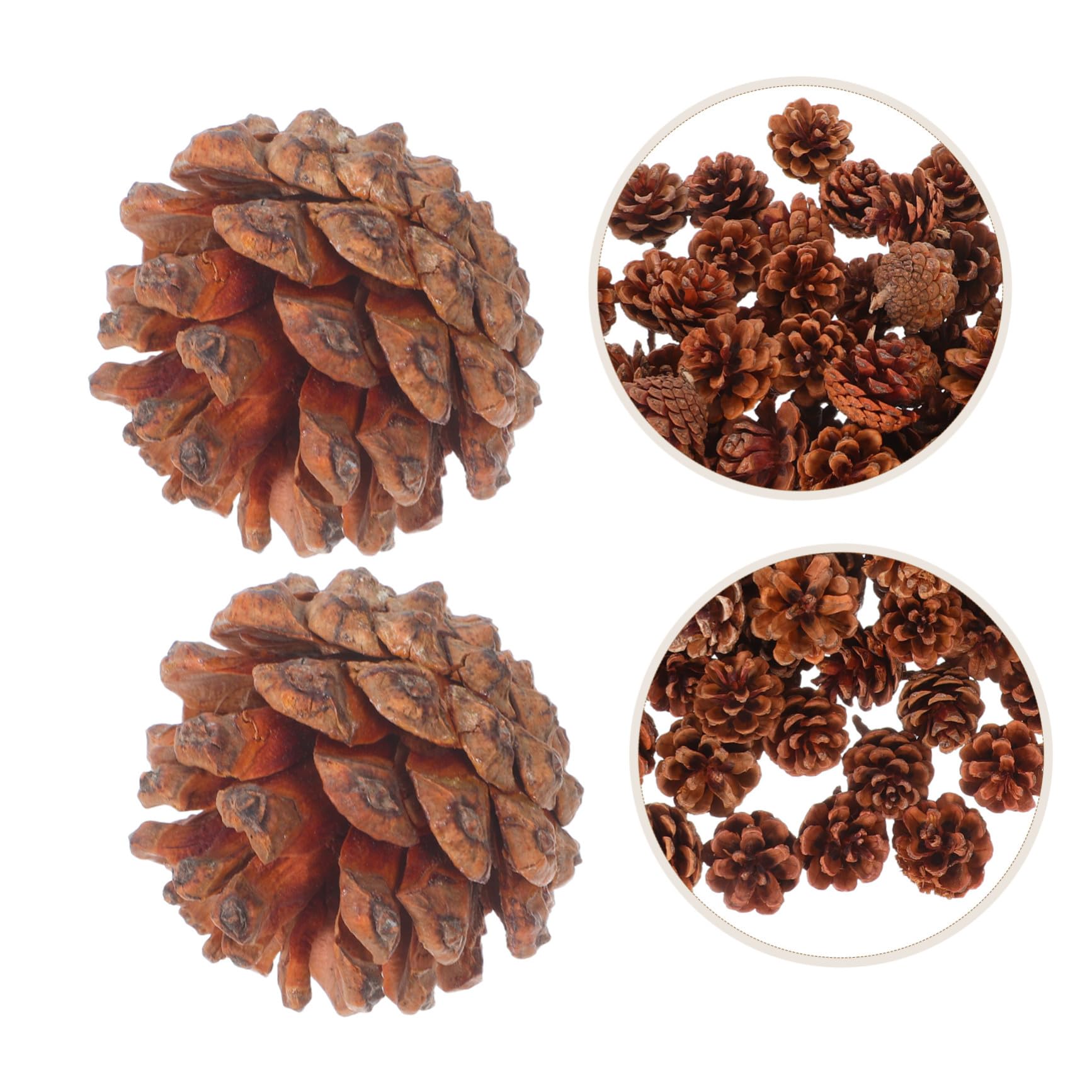 Garneck 130stücke Mini-kiefernzapfen aus Naturholz Mini-kiefernzapfen-Ornamente für Winter und Weihnachtsbasteleien Natürliche Tannenzapfen als Vasenfüller für DIY-Dekorationen