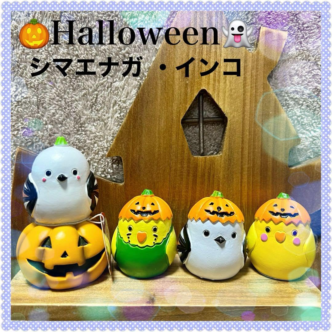 Amazon.co.jp: リトルフレンドハロウィン シマエナガ セキセイインコ