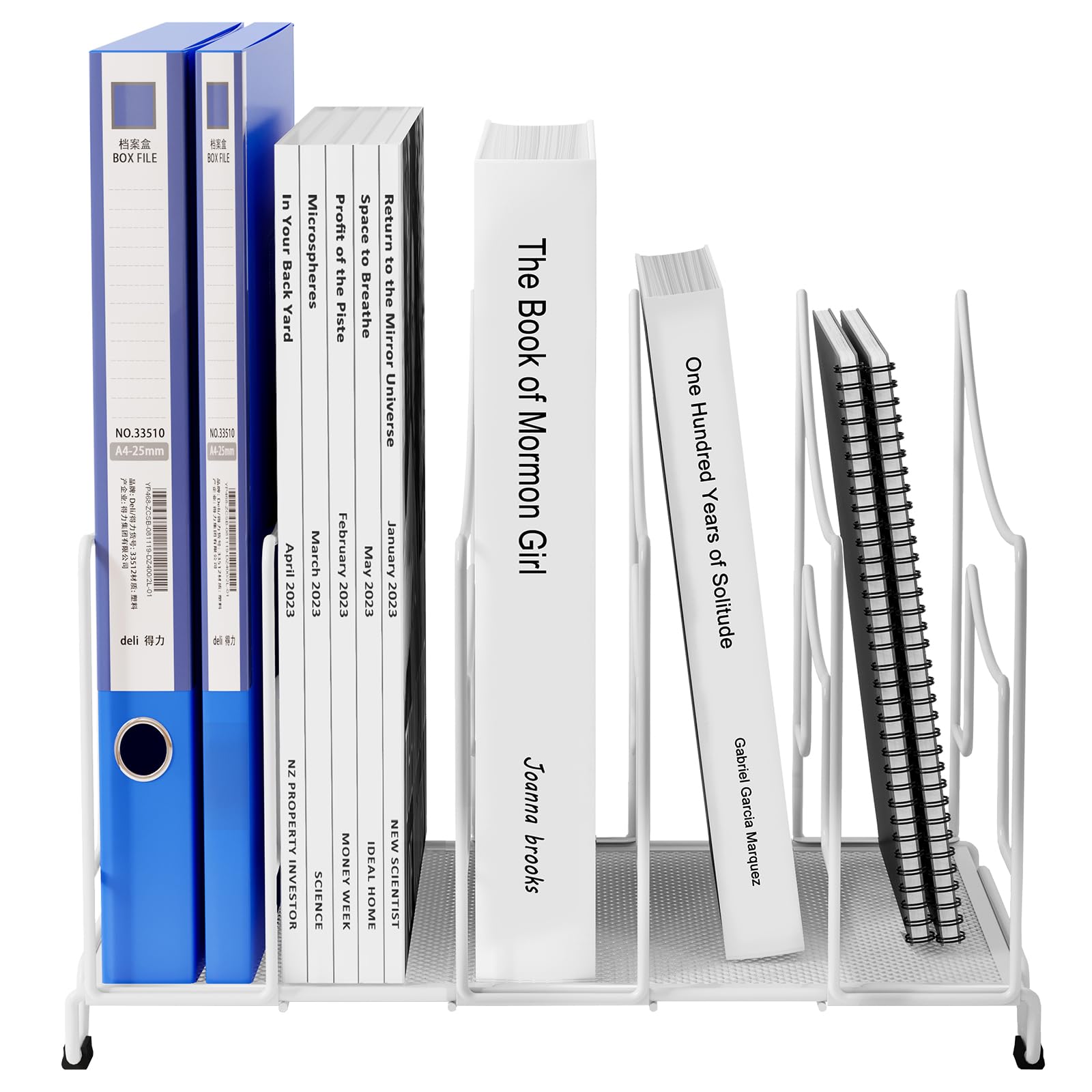 EasyPAG 5 Compartiments Métal Porte Revue Vertical Corbeilles à Courrier A4 Banette de Rangement Bureau Organisateur de Magazine Range Document Bannette Papier,Blanc