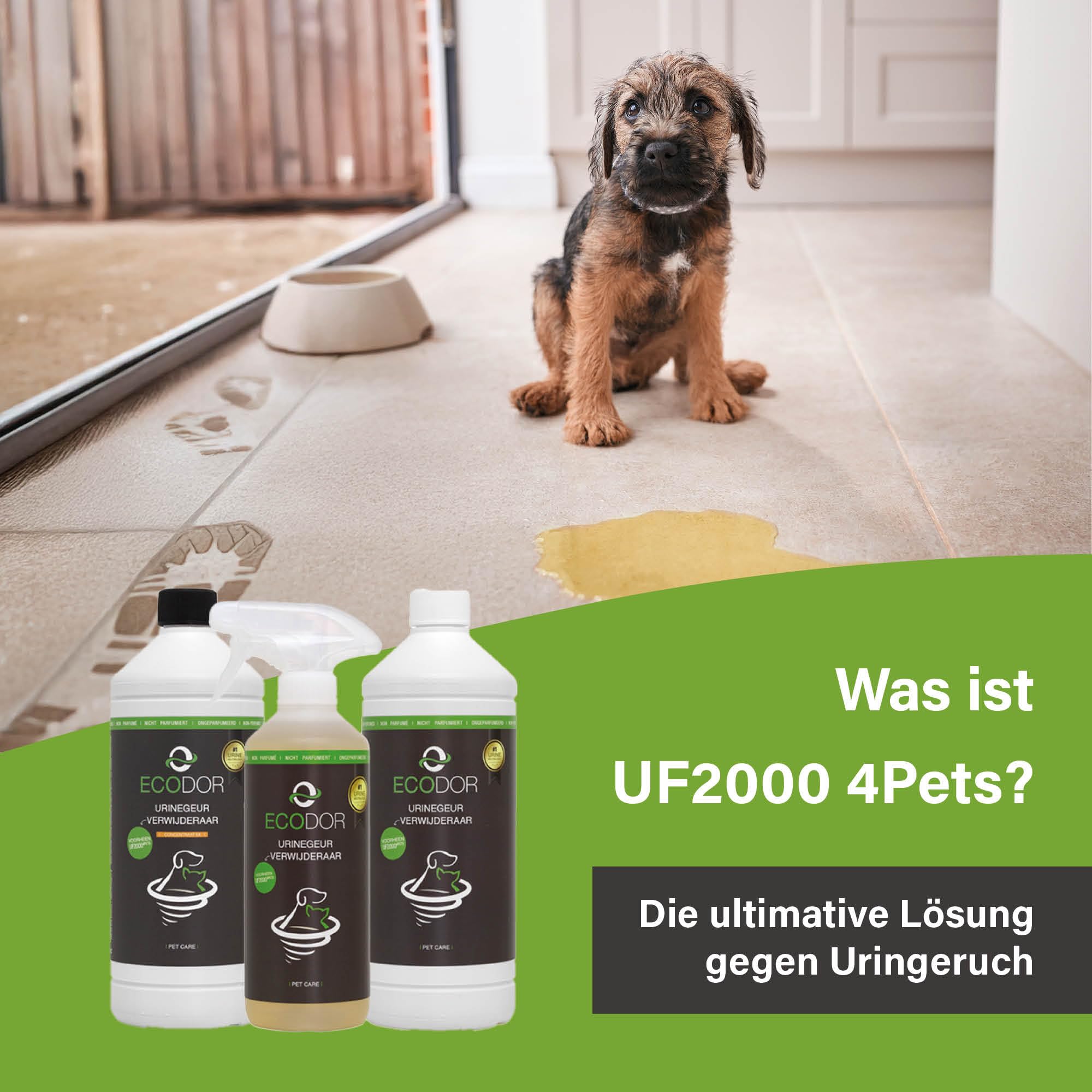 UF2000 4Pets Uringeruch Entferner 2500ml | 100% Biologischer Urin-Geruchsentferner für Katzen und Hunde Uringeruch | Parfümfrei, Effektiv für Haustiere | Konzentrat 1 aus 5 Nachfüllpackung