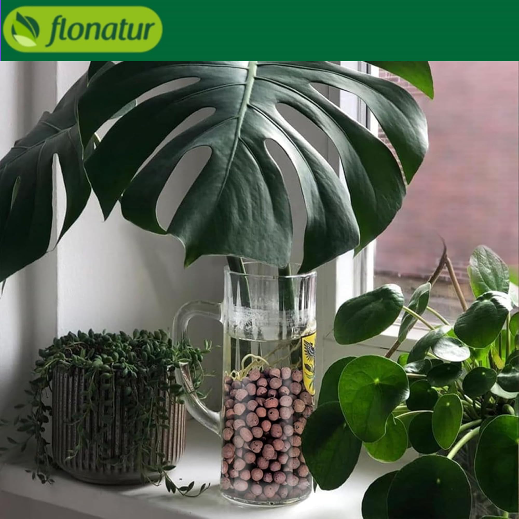 Flornatur Arlita Expandida para Plantas | Bolitas para Macetas y Jardines| Arlita para Drenaje | Forma de Bolas | Tierra Húmeda para Suelo (8 Sacos de 20 litros)