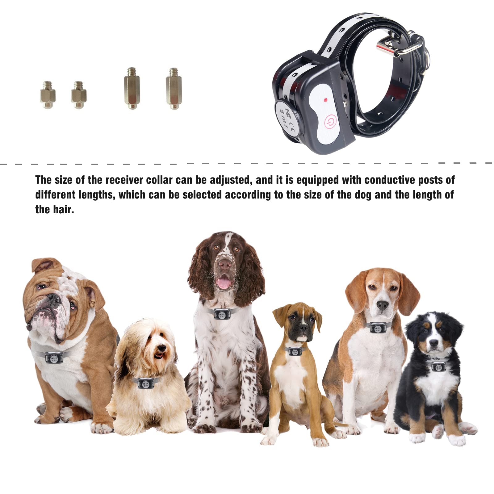 How Do I Train My Dog To Be A Selective Dog