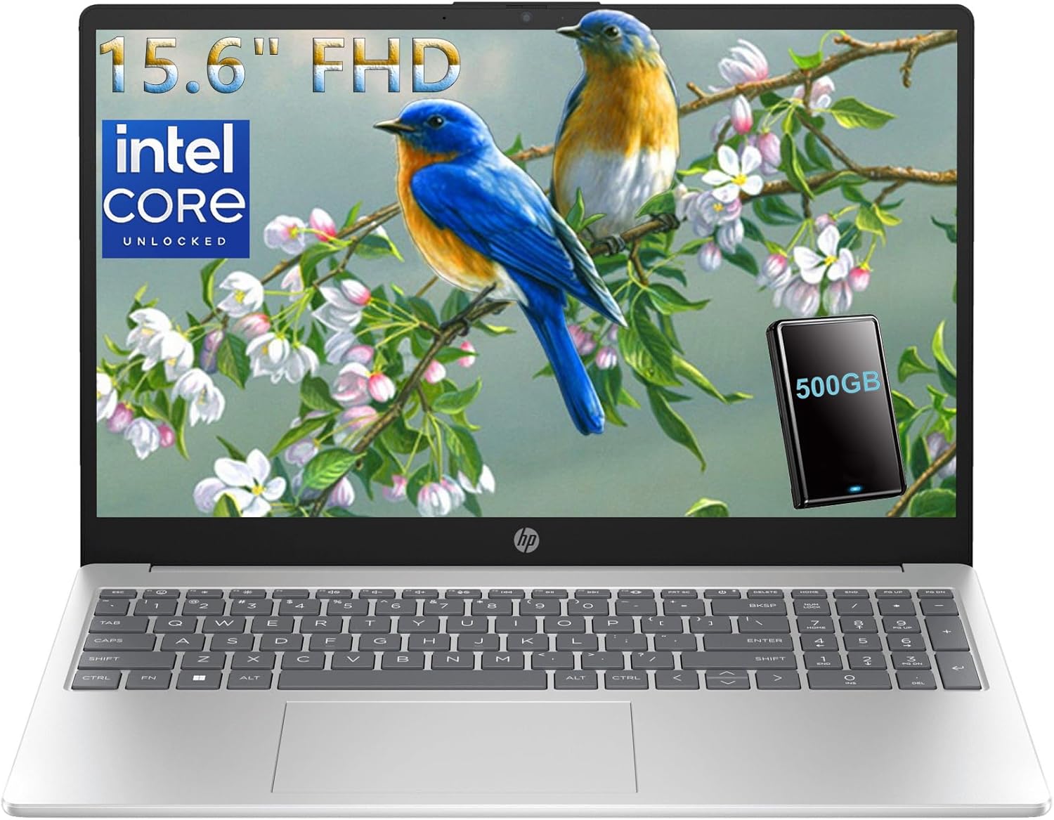 HP Notebook 15.6 FHD Laptop Computer with Microsoft Office 365, 16GB DDR4 RAM, 512GB SSD, Intel 4-Core N100 CPU, 2026 Edition, Numeric Keypad, Copilot AI, Windows 11 Home, Silver, 500GB External HDD