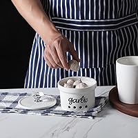 Vista 6 de HAOTOP Garlic Keeper with Crystal Lid, 12.5 oz Ceramic Garlic Saver Container for Countertop, Farmhouse Kitchen Decor (Silver)