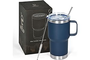 Insulated 20 oz Tumbler with Handle and Lid
