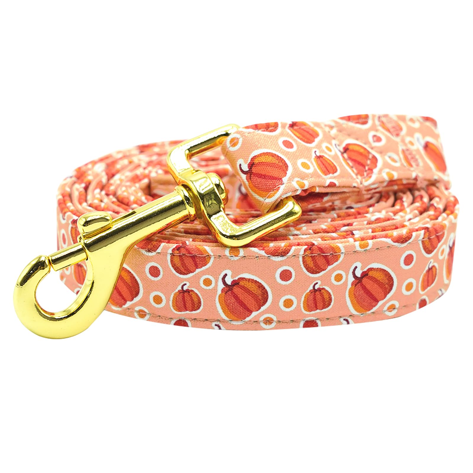 Bobo Rainbow Dog Leash, Halloween Dog Leash Fall Dog Leash Pumpkin Print Durable Strong Dog Leash Heavy Duty Leash Comfortable Padded Dog Leash for Small Medium Large Dogs โ image 1