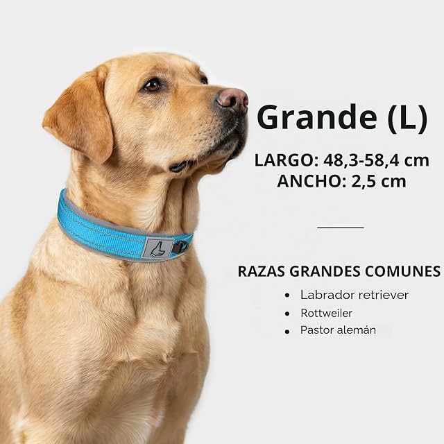 Foto 5 de 7 de Joytale Collar Perro Grande, Resistente y Reflectante, Ajustable de Acolchado Neopreno Nylon, Cielo Azul, L