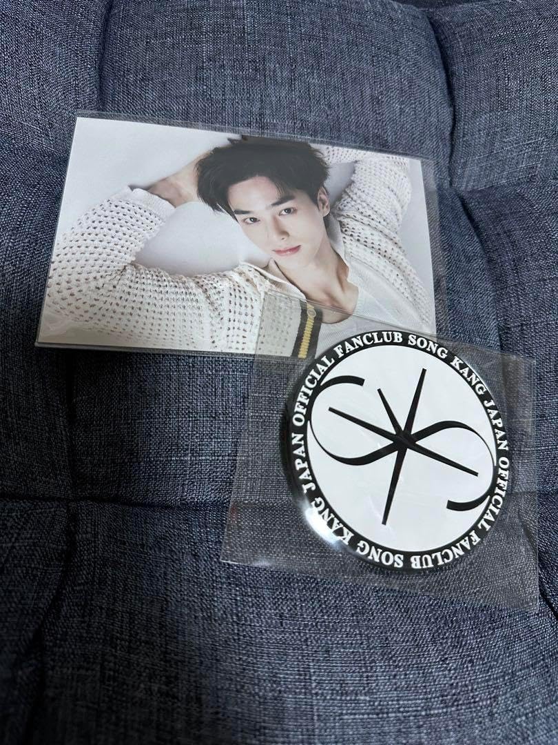 甲斐田晴 welcome 缶バッジ 30個 まとめ売り 甲斐田晴 welcome 缶