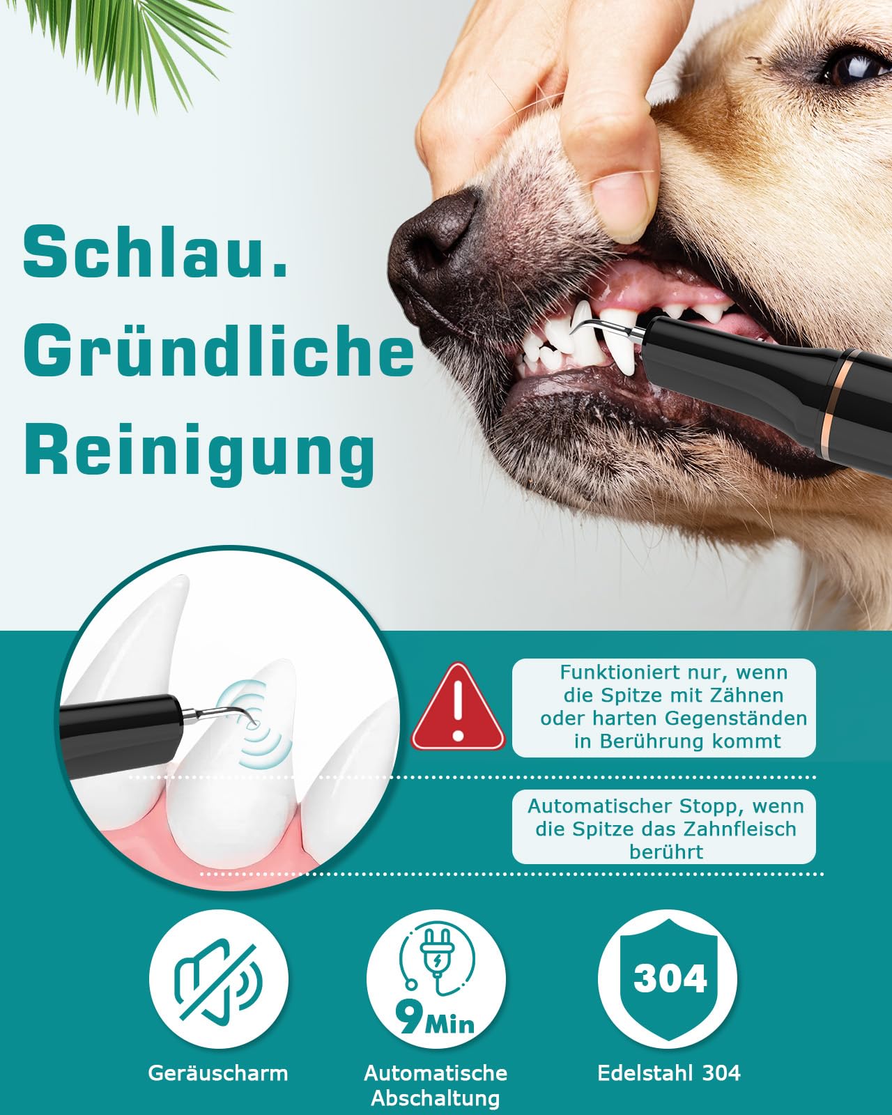 Zahnreiniger Ultraschall für Hund und Katze, Zahnreiniger für Haustiere, Zahnpflege Set, Zahnreinigung und Reinigungsset für Hunde Katze, 5 Reinigungsmodi, 4 Reinigungsköpfe