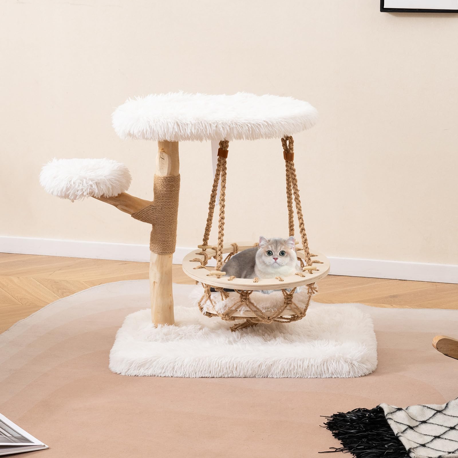 View 8
