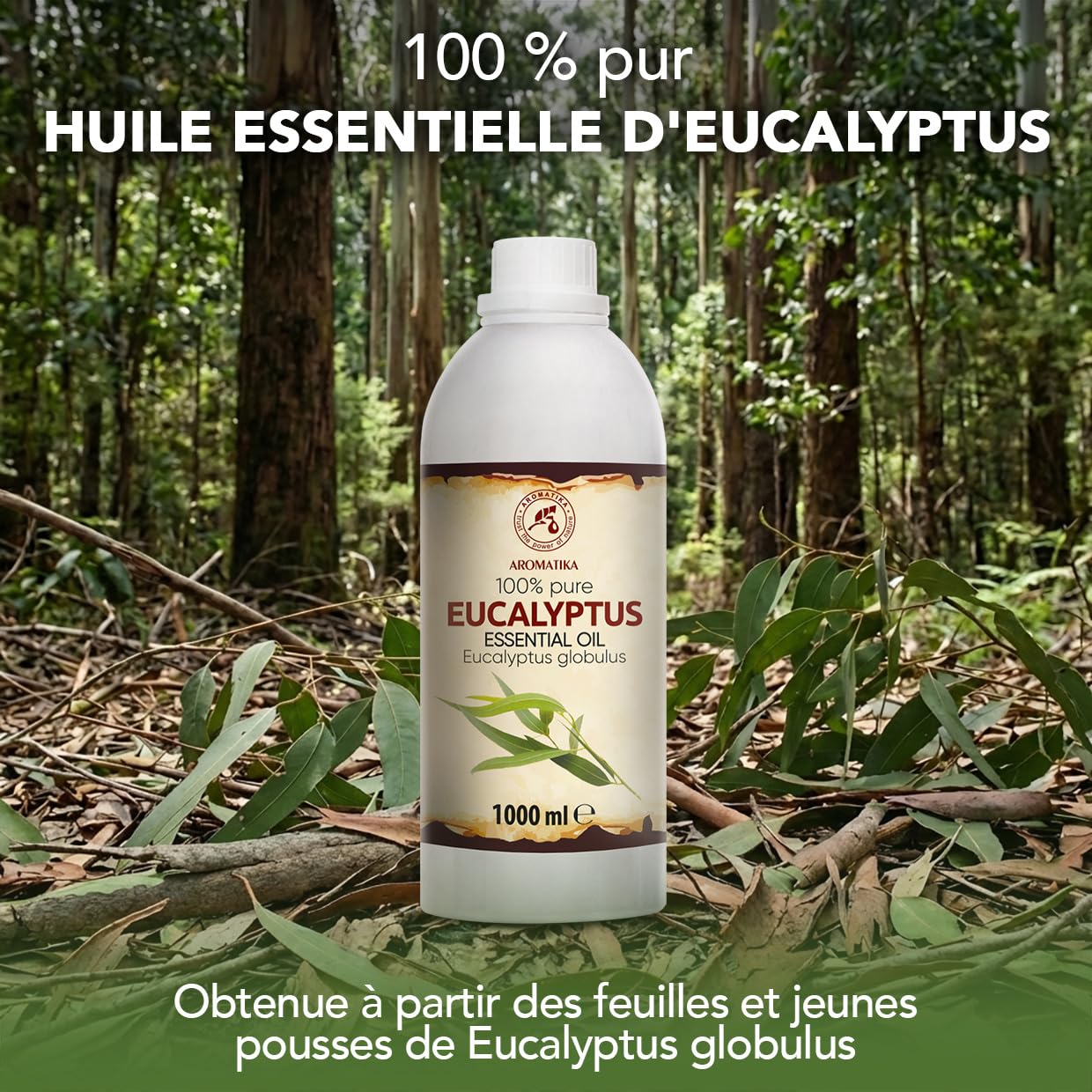 Huile Essentielle d'Eucalyptus 1000 ml - Eucalyptus Globulus - pour Diffuseur et Lampe Aroma - le Savon et les Bougies - Sauna - Parfums d'Intérieur - Arôme frais - Aromathérapie