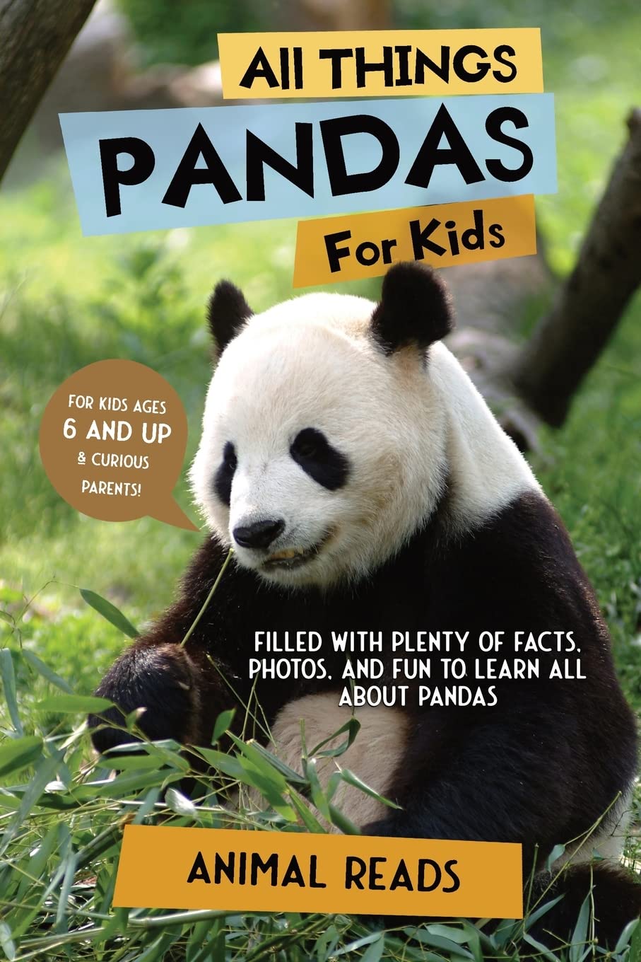 All Things Pandas For Kids: Filled With Plenty of Facts, Photos, and Fun to Learn all About Pandas Paperback – Large Print, 28 Nov. 2022
